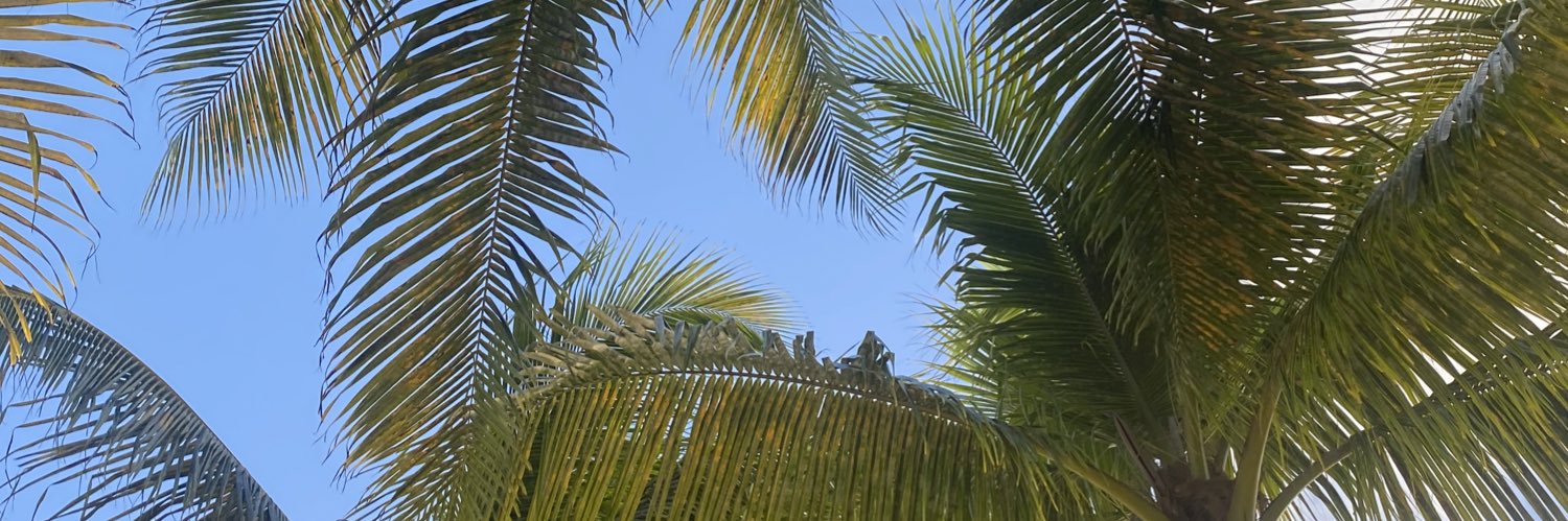 Léya Carême Thomas banner