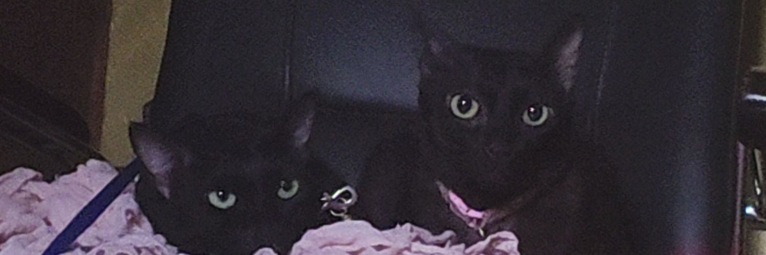 ChoyyonikaRM's profile banner image