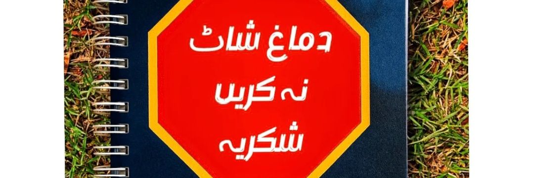 ثناء فخر's banner