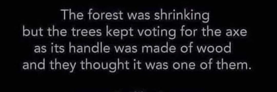 ArboristsProdigy banner