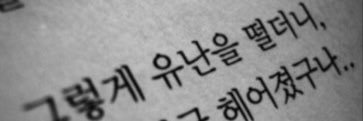 사피아노최 banner