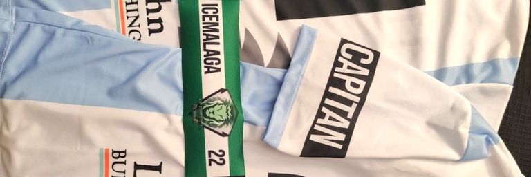 Icemalaga banner