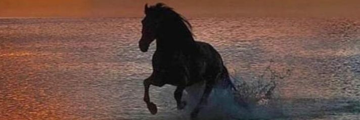 🔱 N0 NAME 🔱 banner