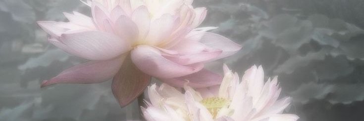 ‎ً banner