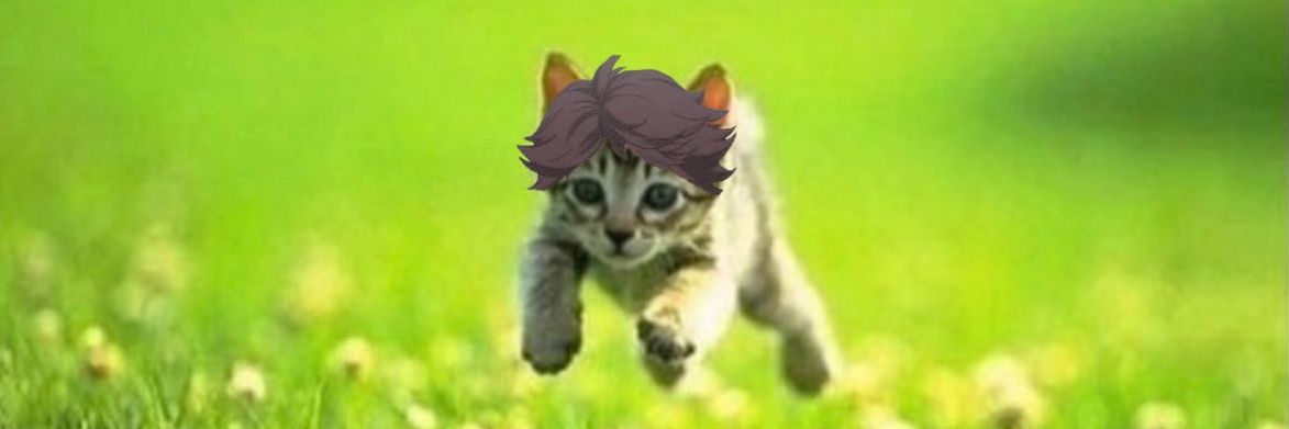 gatto_art's profile banner image