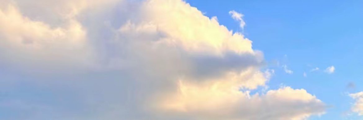 ₊˚⊹ ʚɞ banner
