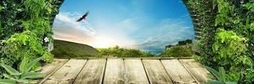 chapt_firman's profile banner image