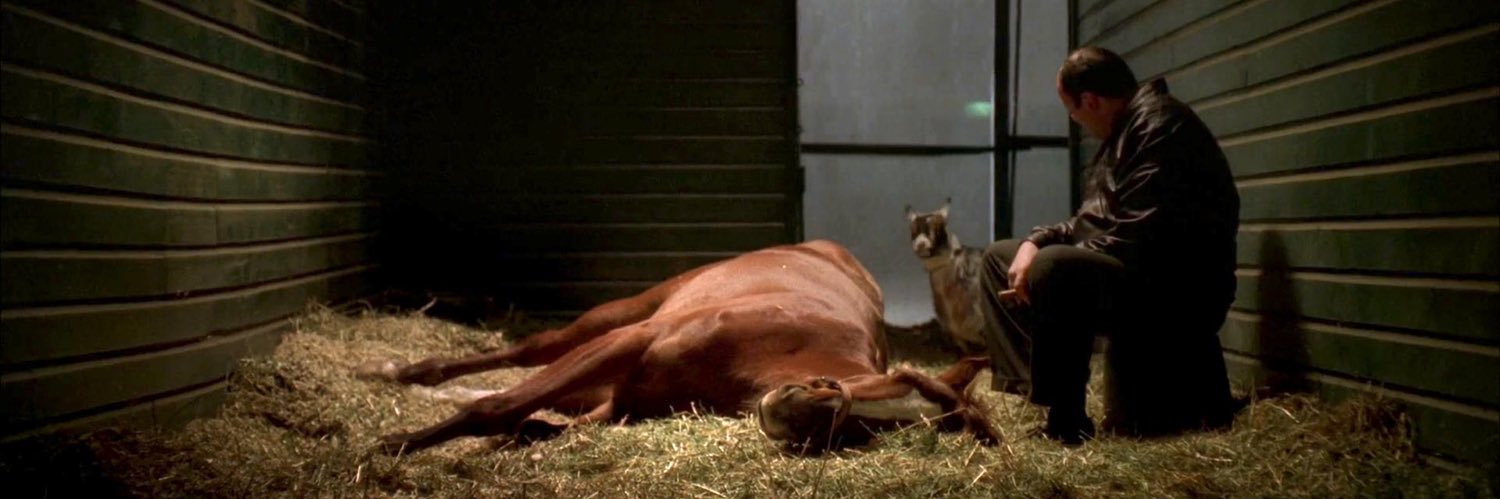 ( ´_ゝ`)ﾟ｡♪ banner