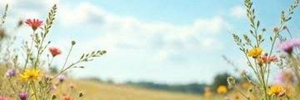 Martarocha1292 Profile Banner