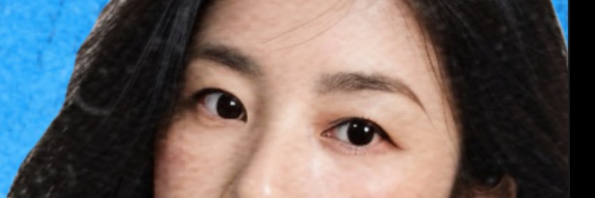sato's banner