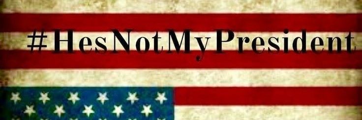 ResisterSue Starting over #FBR 🇺🇸🌻🇺🇦's banner