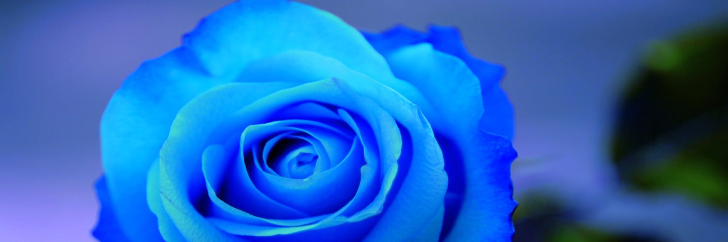 _sofuran's profile banner image