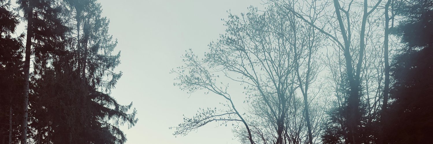 frddpn's profile banner image