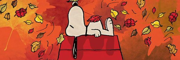 ssaidaiii Profile Banner