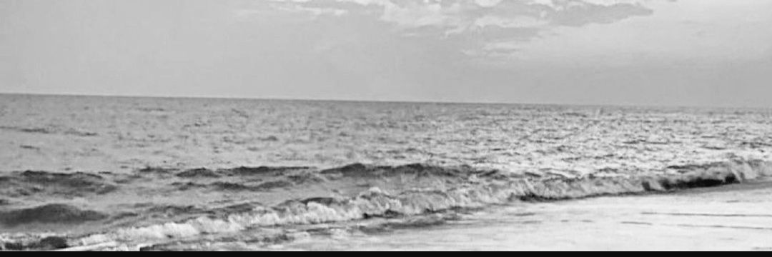 RehAL110's profile banner image