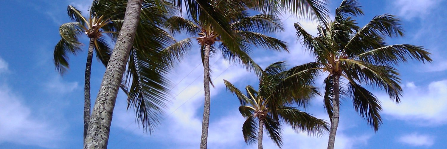 hazmix's profile banner image