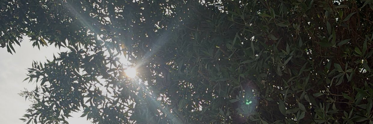 itsrnmero1's profile banner image