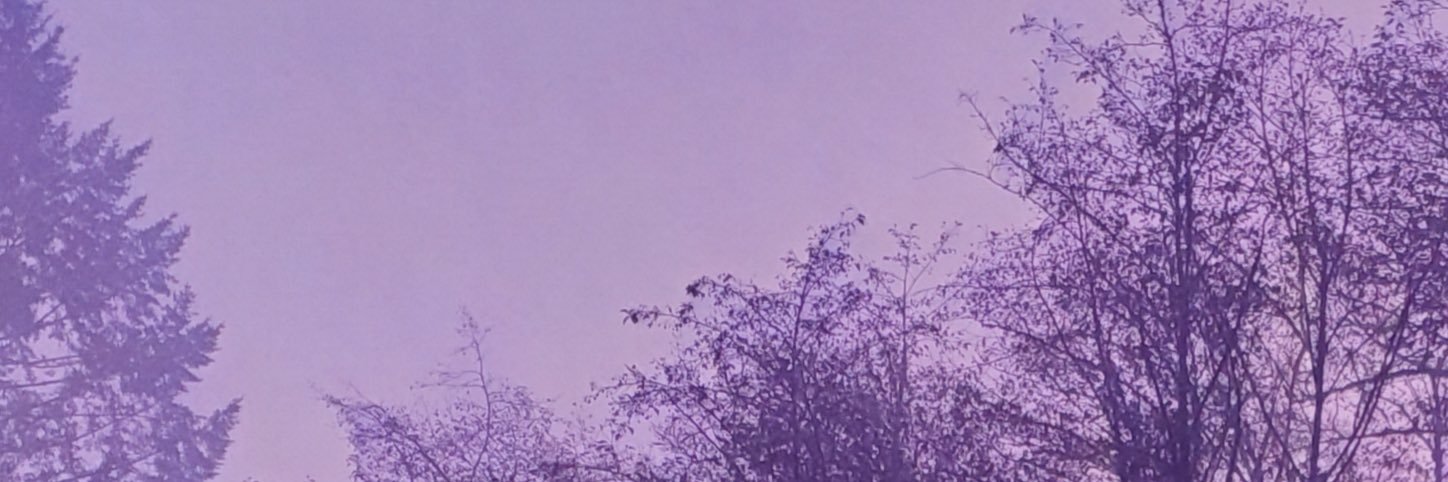 Matthew Van Campen banner