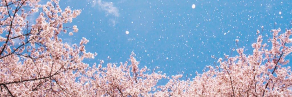 mesoo92's profile banner image