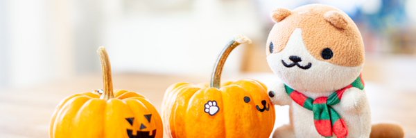 MocchiMusic Profile Banner