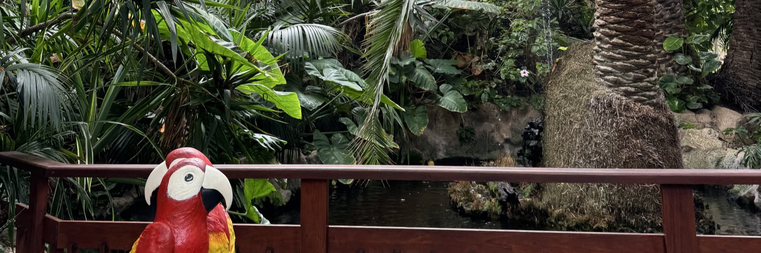 estelareaal's profile banner image