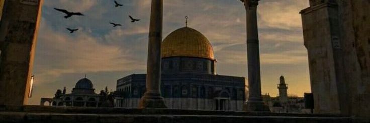 abuzihry's profile banner image