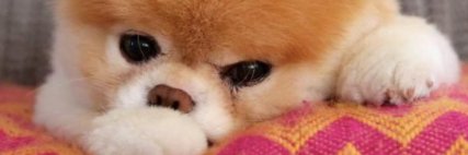 ashiusre's profile banner image