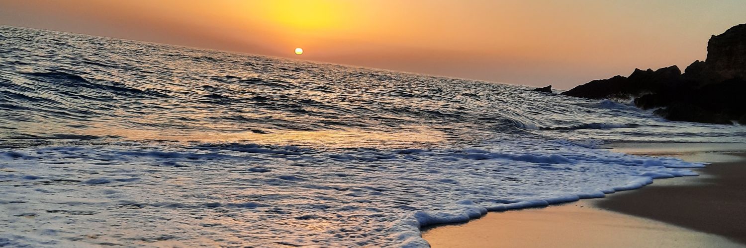 kiwijox's profile banner image