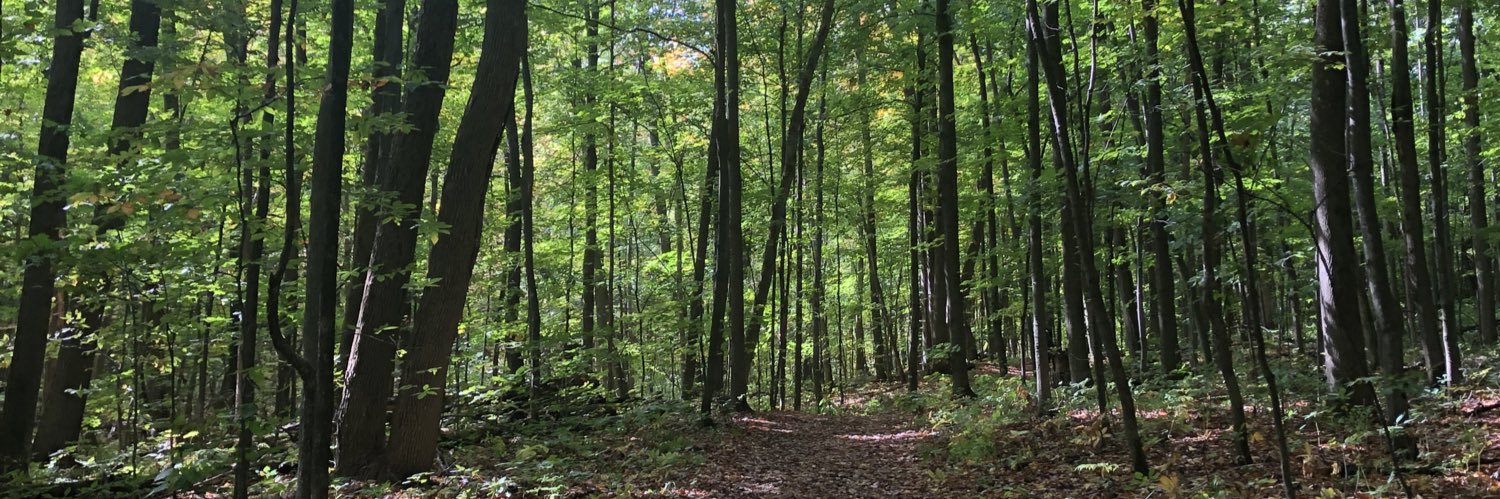 Claire Dannenbaum banner