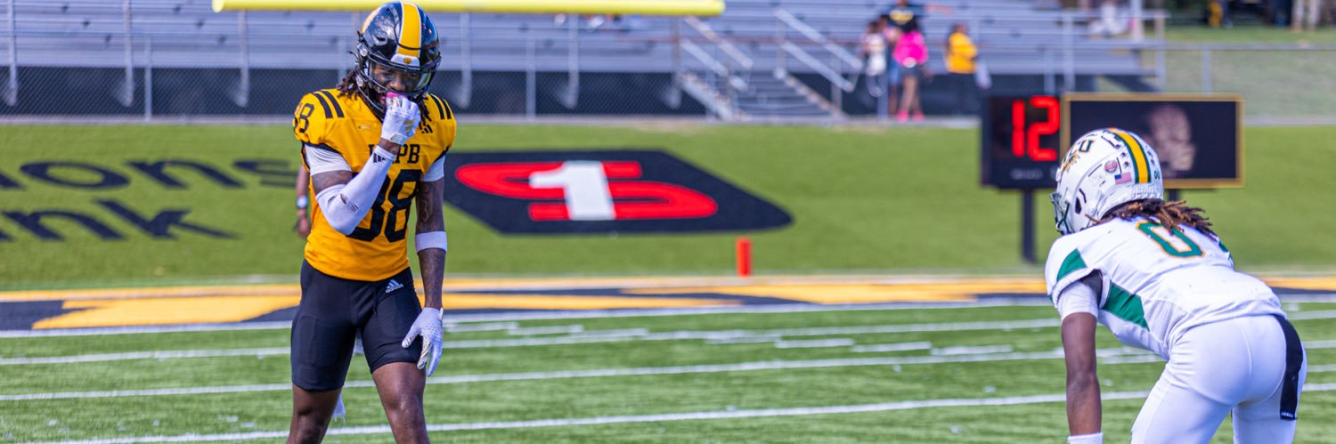 Bryce Robinson banner