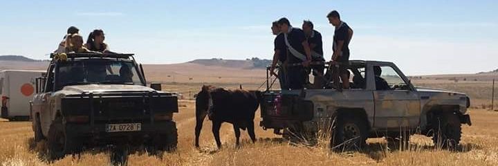 carlosdlcc3's profile banner image