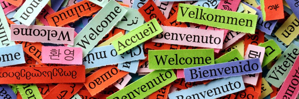 MScMultilingualism banner