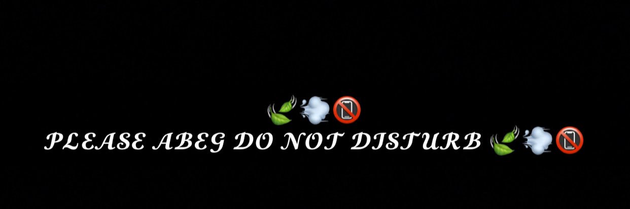 🍃💨 𝓓𝓞 𝓝𝓞𝓣 𝓓𝓘𝓢𝓣𝓤𝓡𝓑 🍃💨's banner