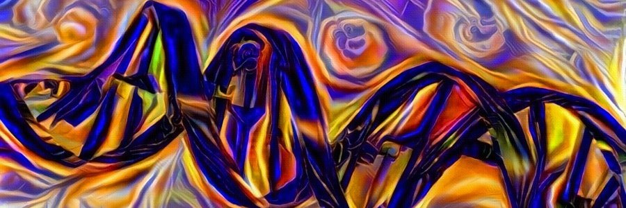 Amy Vandiver banner
