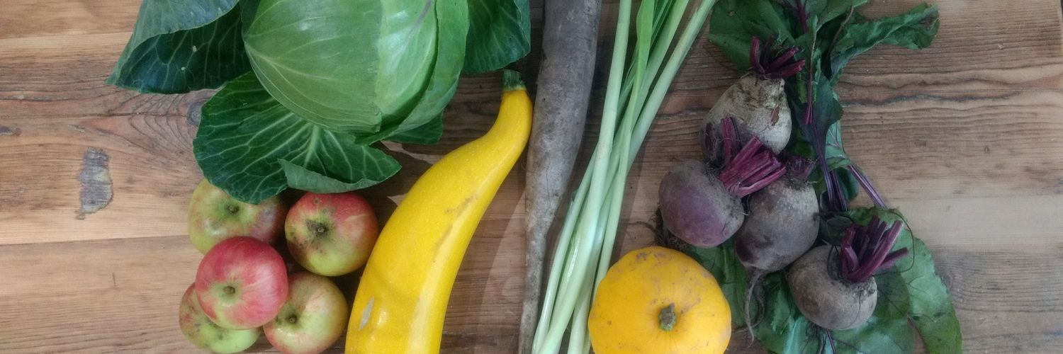 Dig-In Bruntsfield banner