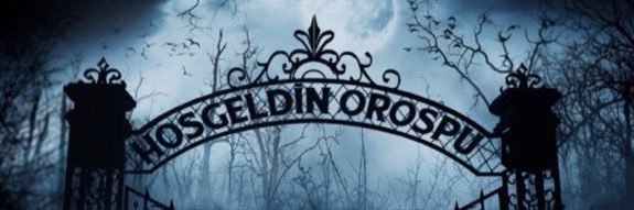 skanderbegg's profile banner image