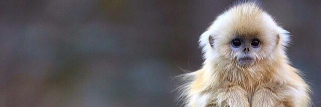 andreaborner's profile banner image