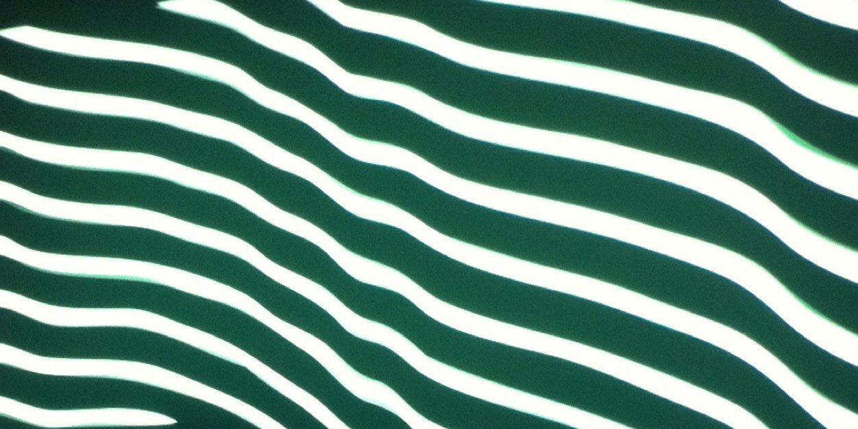 maiaconran's profile banner image