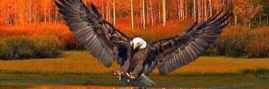 Still Victory banner