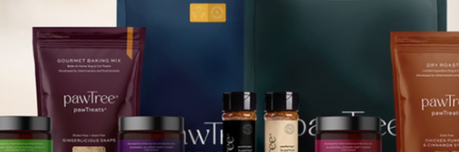 Pam Allison banner