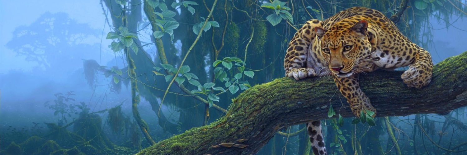 Gamlielgr's profile banner image
