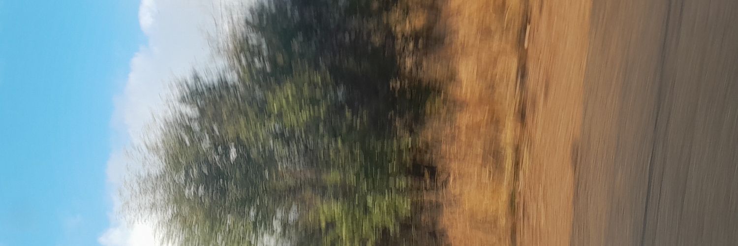 Ephmusa's profile banner image