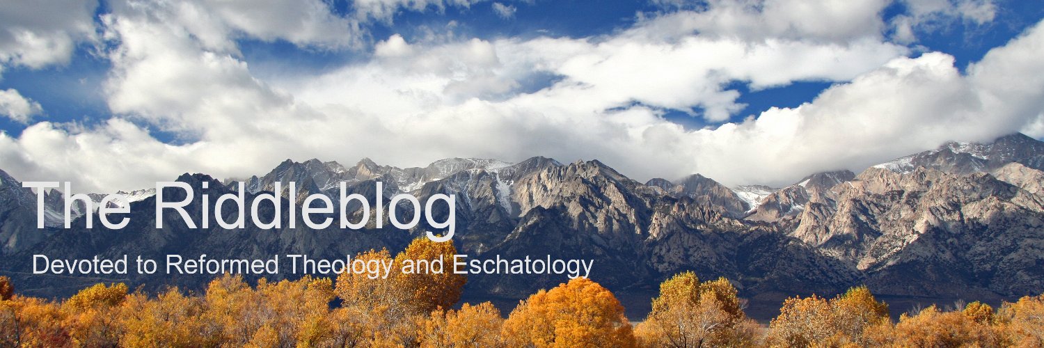 The Riddleblog's banner