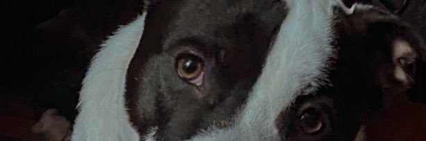 simonapelei's profile banner image