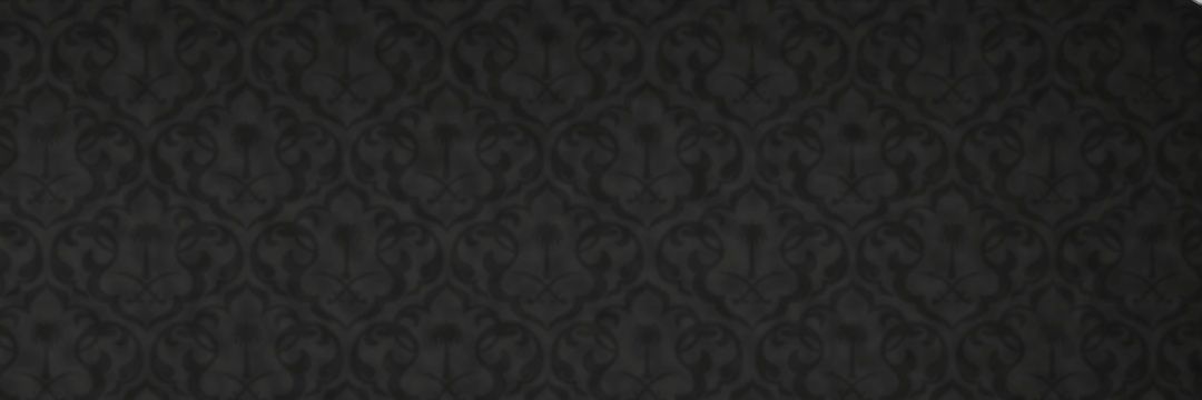 shaqi787's profile banner image