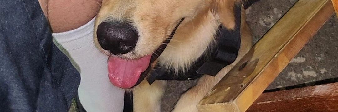 _rubenseduardo_'s profile banner image