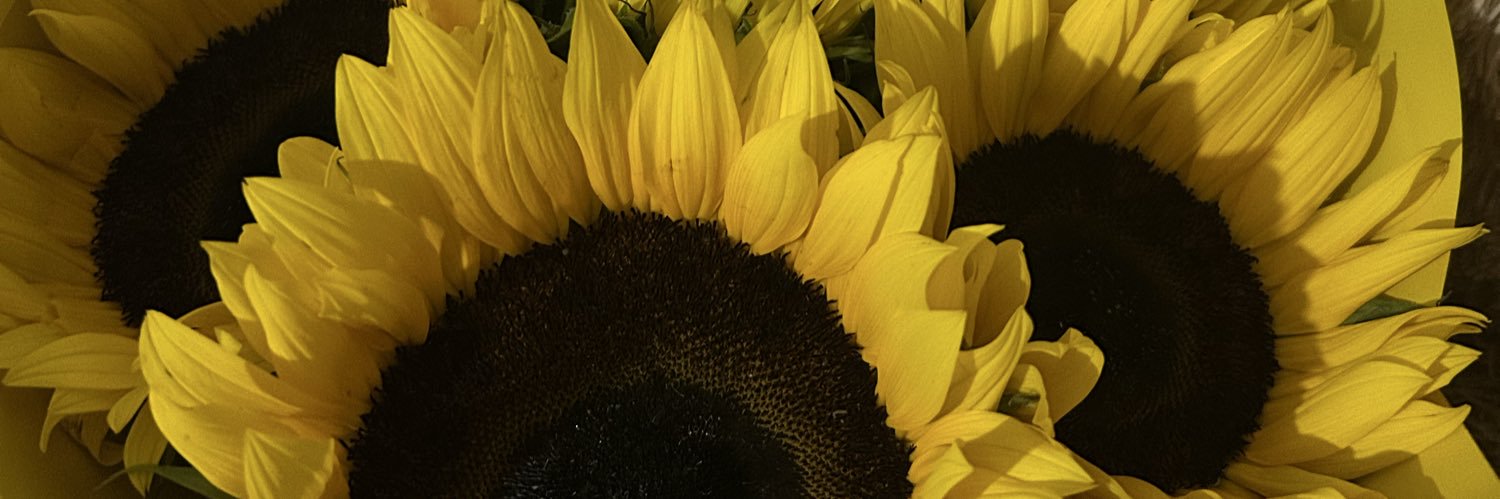 MonseJsjsjs's profile banner image
