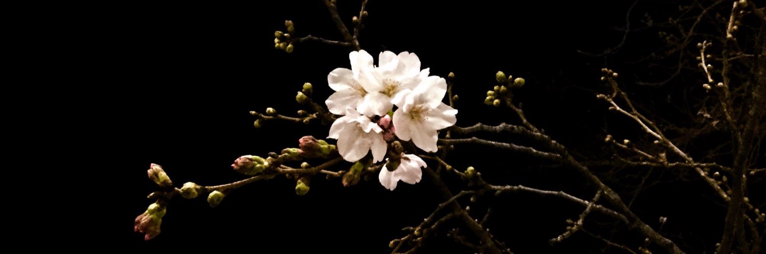 けいの banner