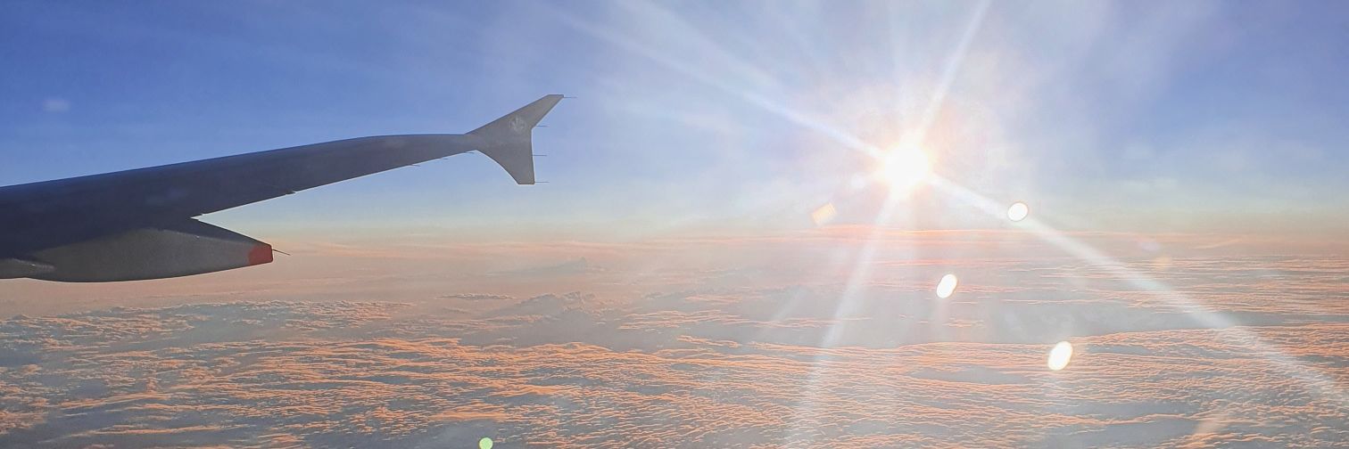 Raquel Martín-Maestro banner