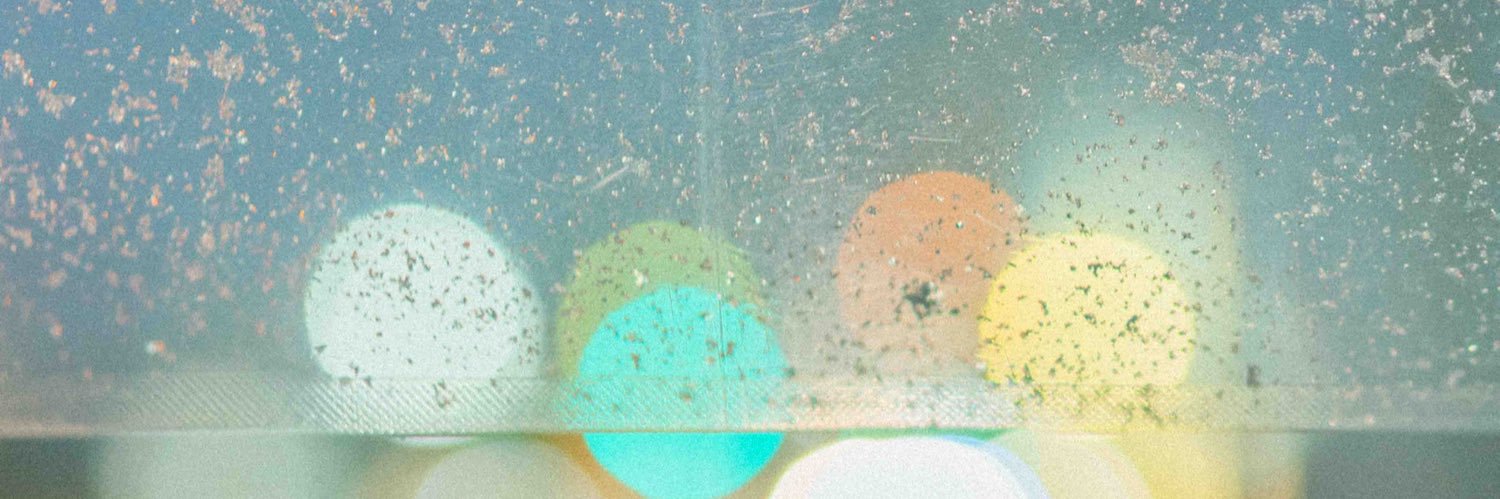 🐣 banner